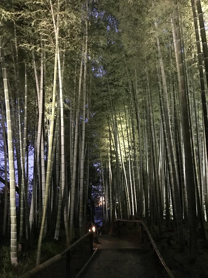 Sakuraya-Inn Ōsaka Eksteriør bilde